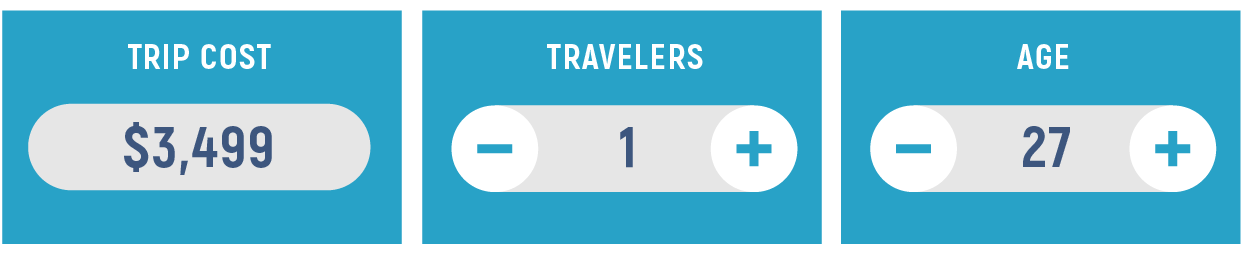 Trip cost, travelers, age input graphic
