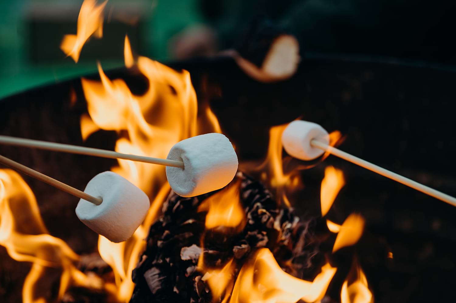 Marshmellows roasting over fire