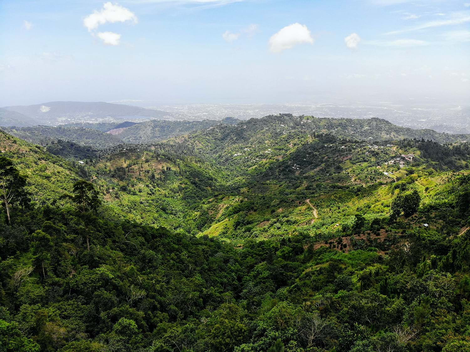 Tree covered rolling hill landscape