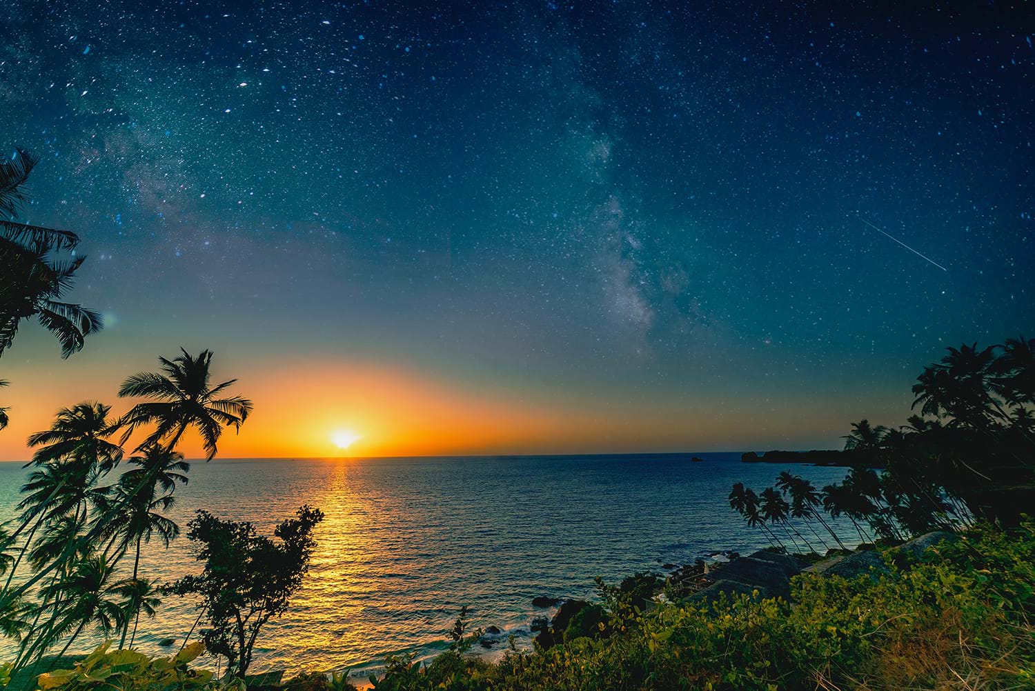 Starry night sky over tropical coast