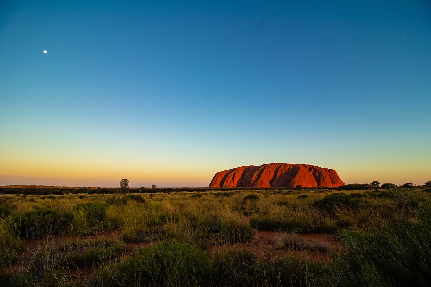 Sunset over Uluru in Australia