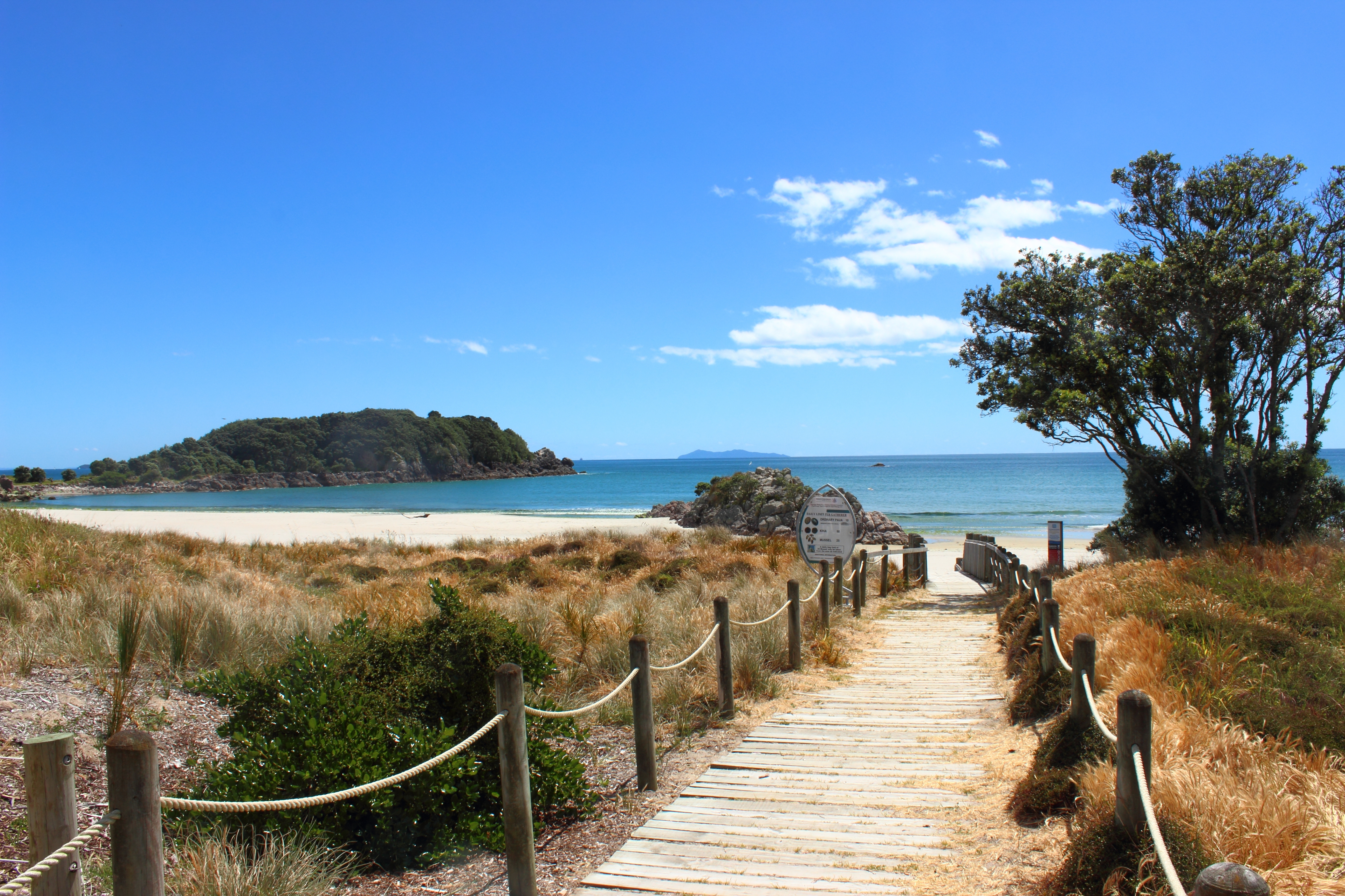Tauranga Beach, New Zealand