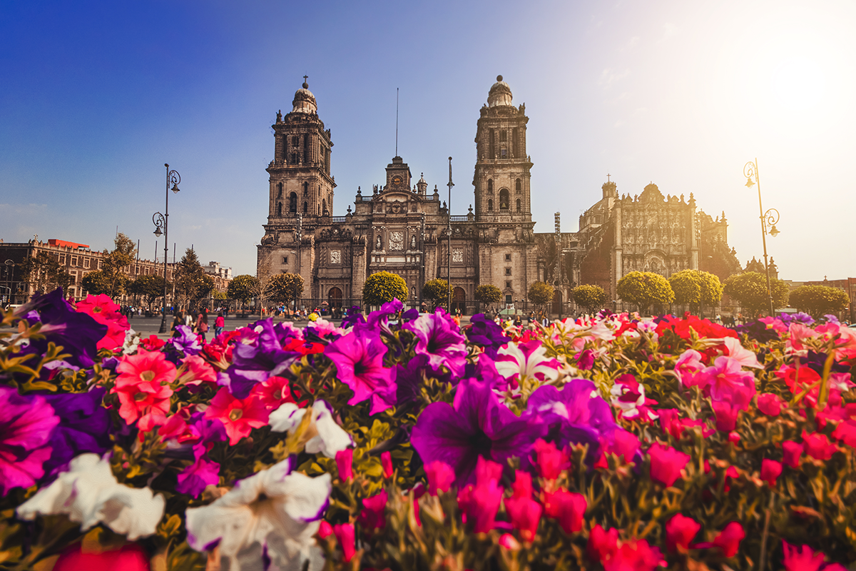 Cathedral Maria de Assunção, Mexico City