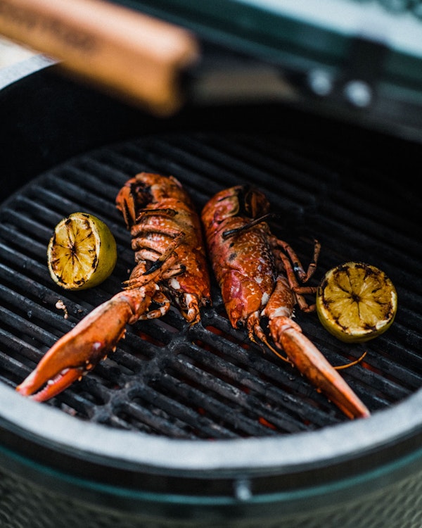 Big Green Egg Grill