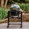 Large Big Green Egg in a Modular Nest