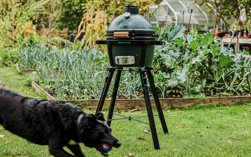 MiniMax Big Green Egg in a Foldable stand at the Allotment