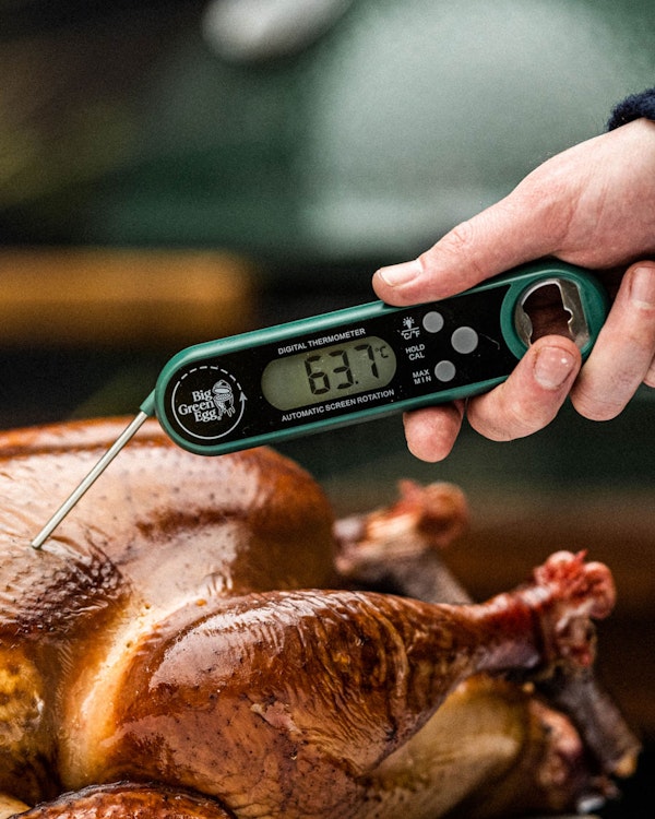 Shop our thermometer range