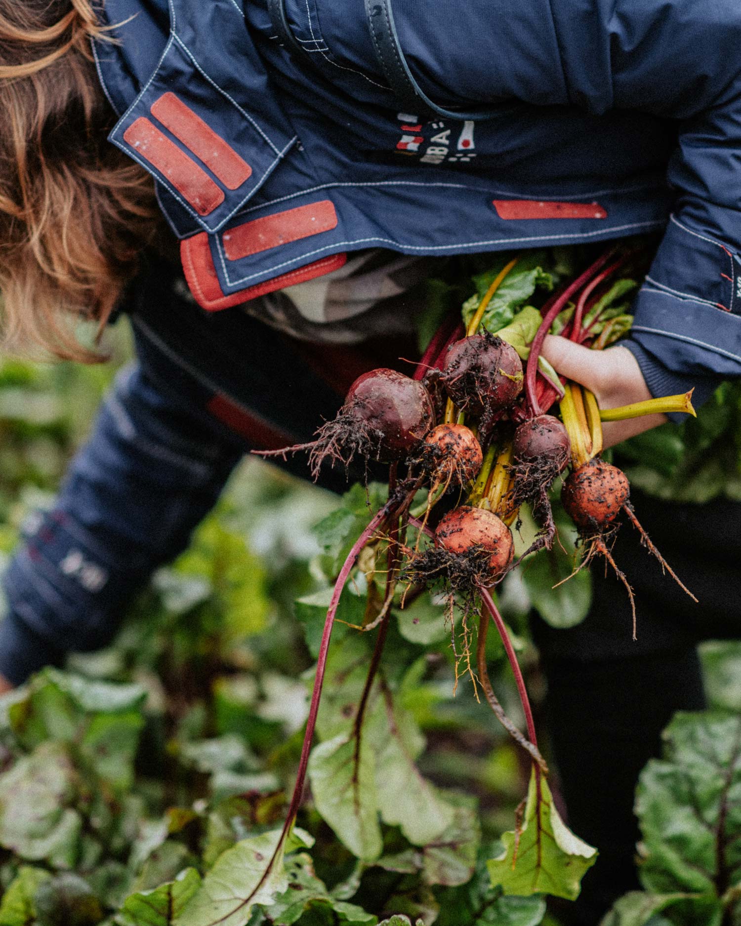 baked beetroot