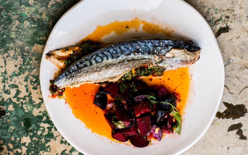 PLANK-COOKED MACKEREL WITH CHERMOULA & MOROCCAN BEETS