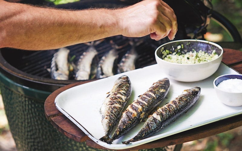 mackerel - cooking on the big green egg