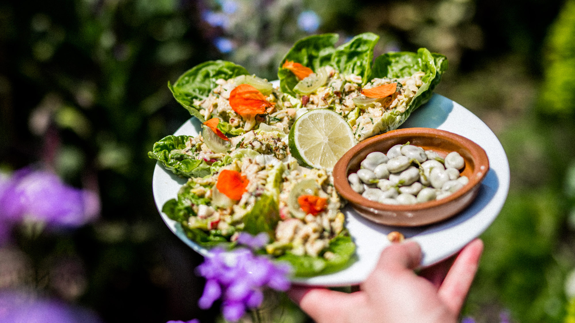 plated spider crab tacos