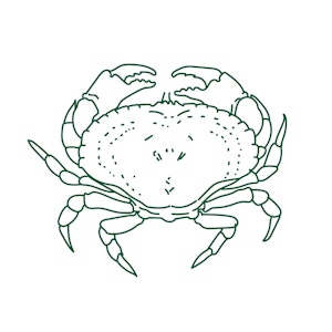 seafood, crab