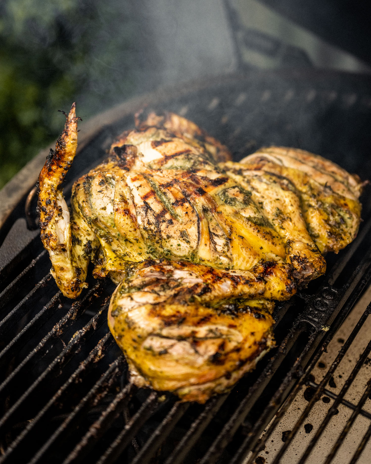 Jerk-Brined Chicken | Roasting | Grilling | Chicken recipes | Big Green Egg