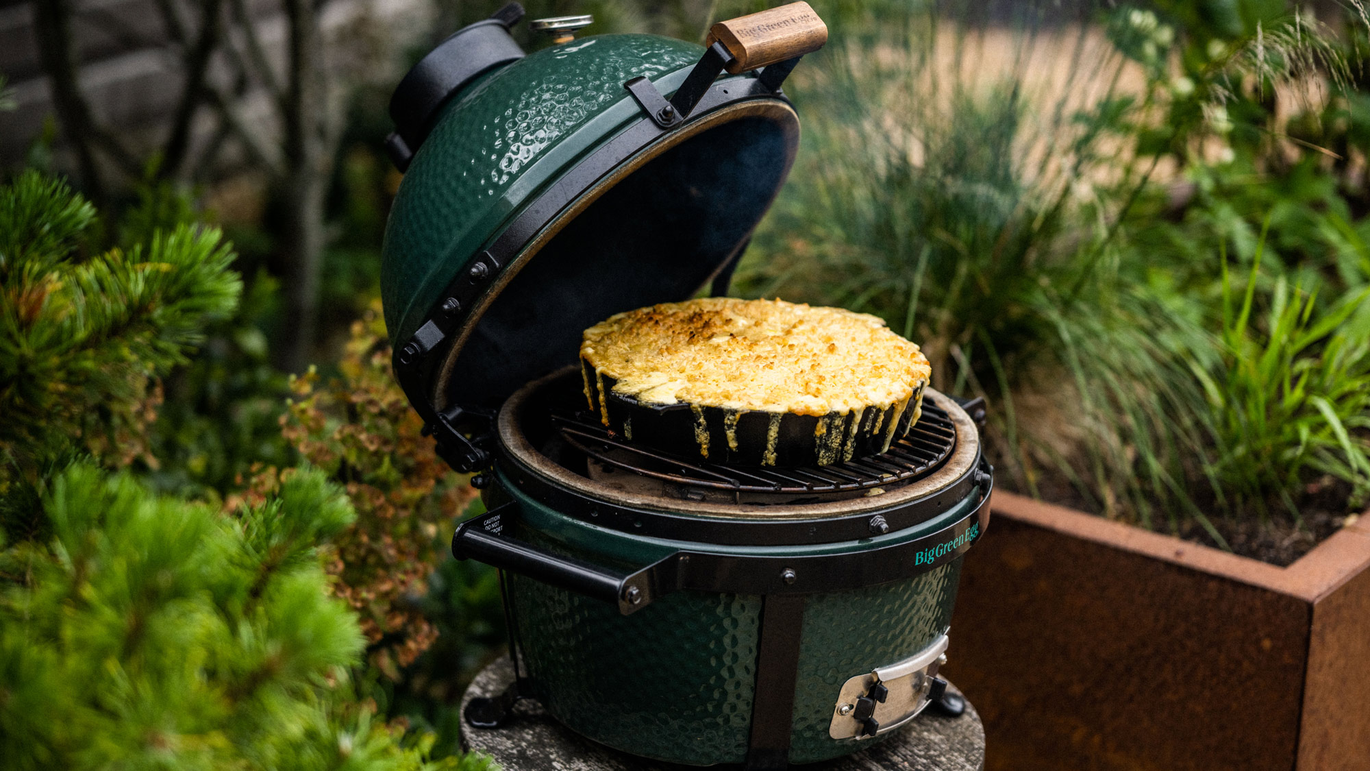 cook the mac & cheese