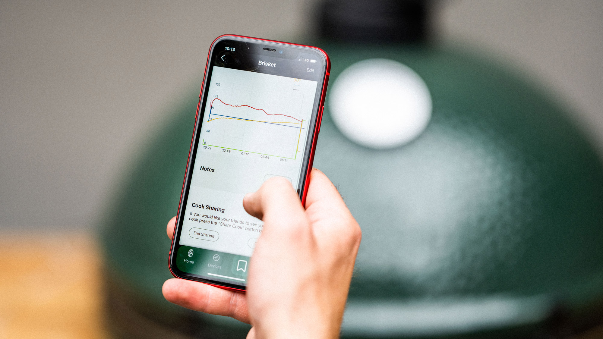 EGG Genius Ceramic Charcoal BBQs Big Green Egg