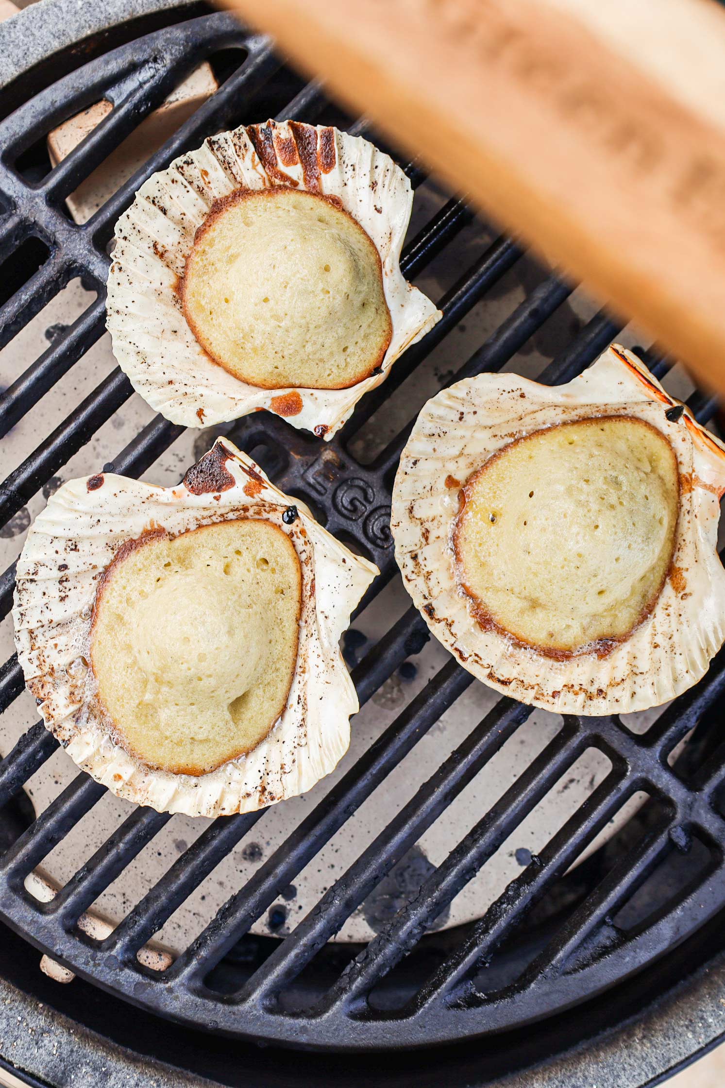 Seaside madeleines | Emily Scott | 50 Recipes | baking | sweet recipes | Big Green Egg