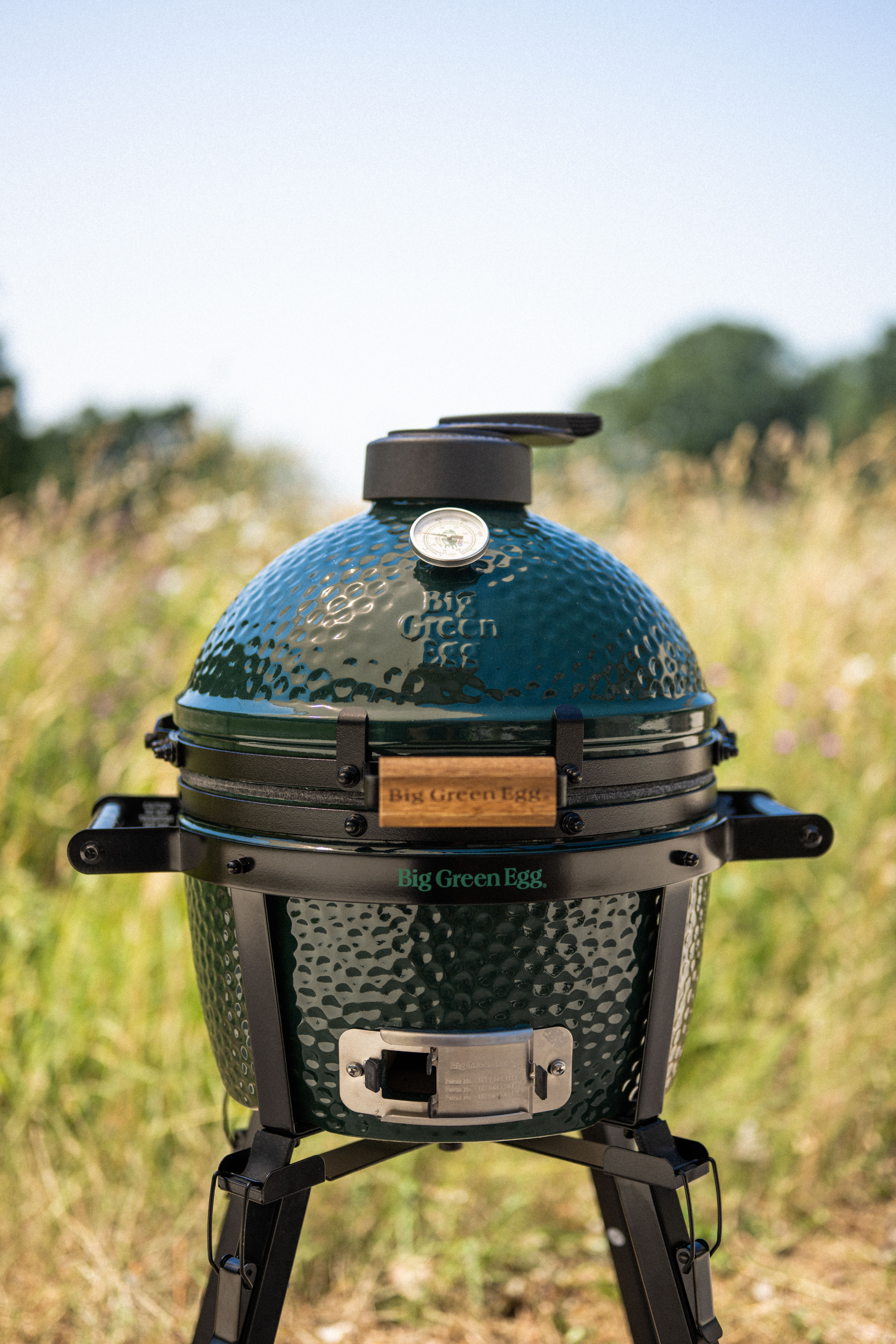 Big Green Egg