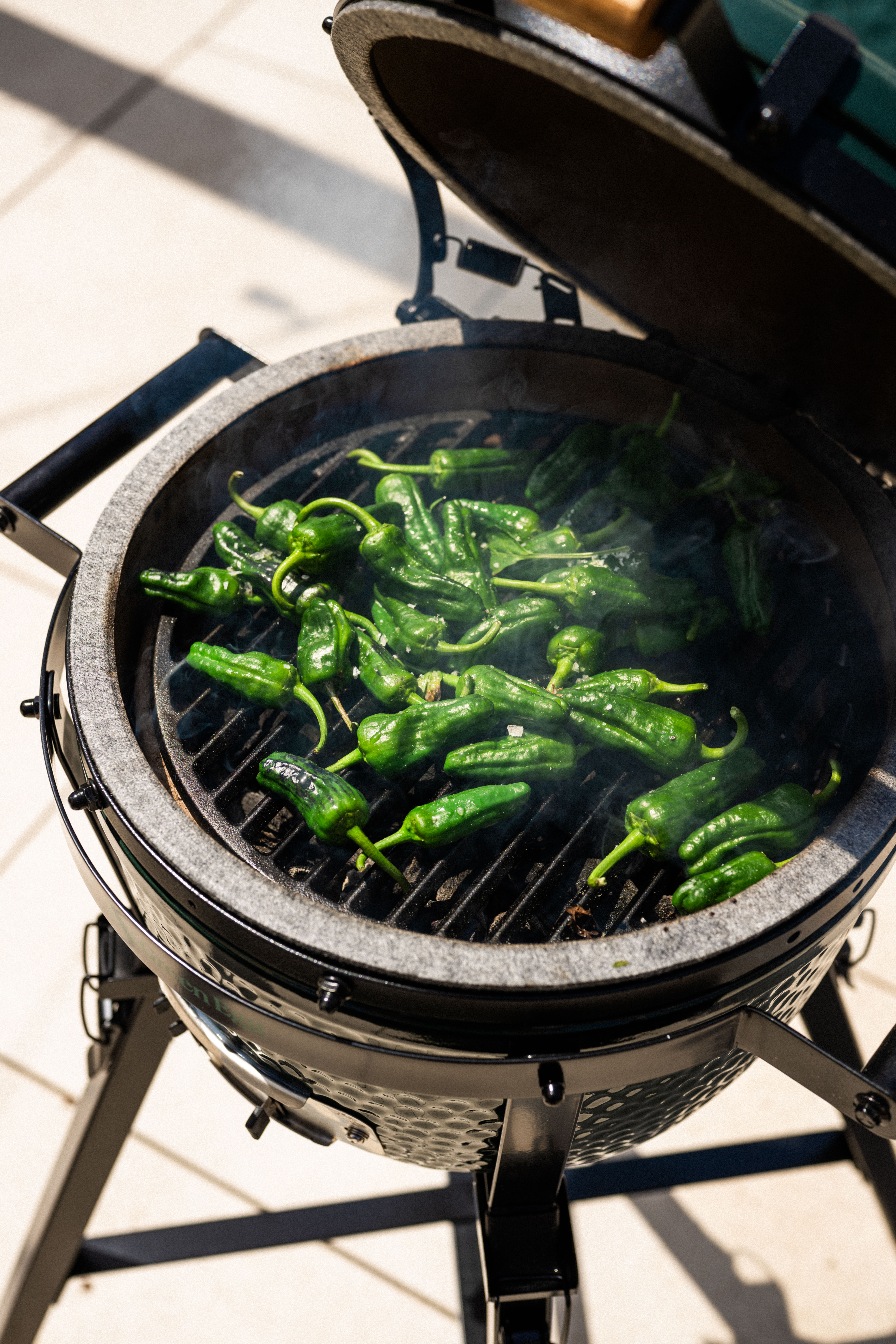 Ross Geach PADRON PEPPERS