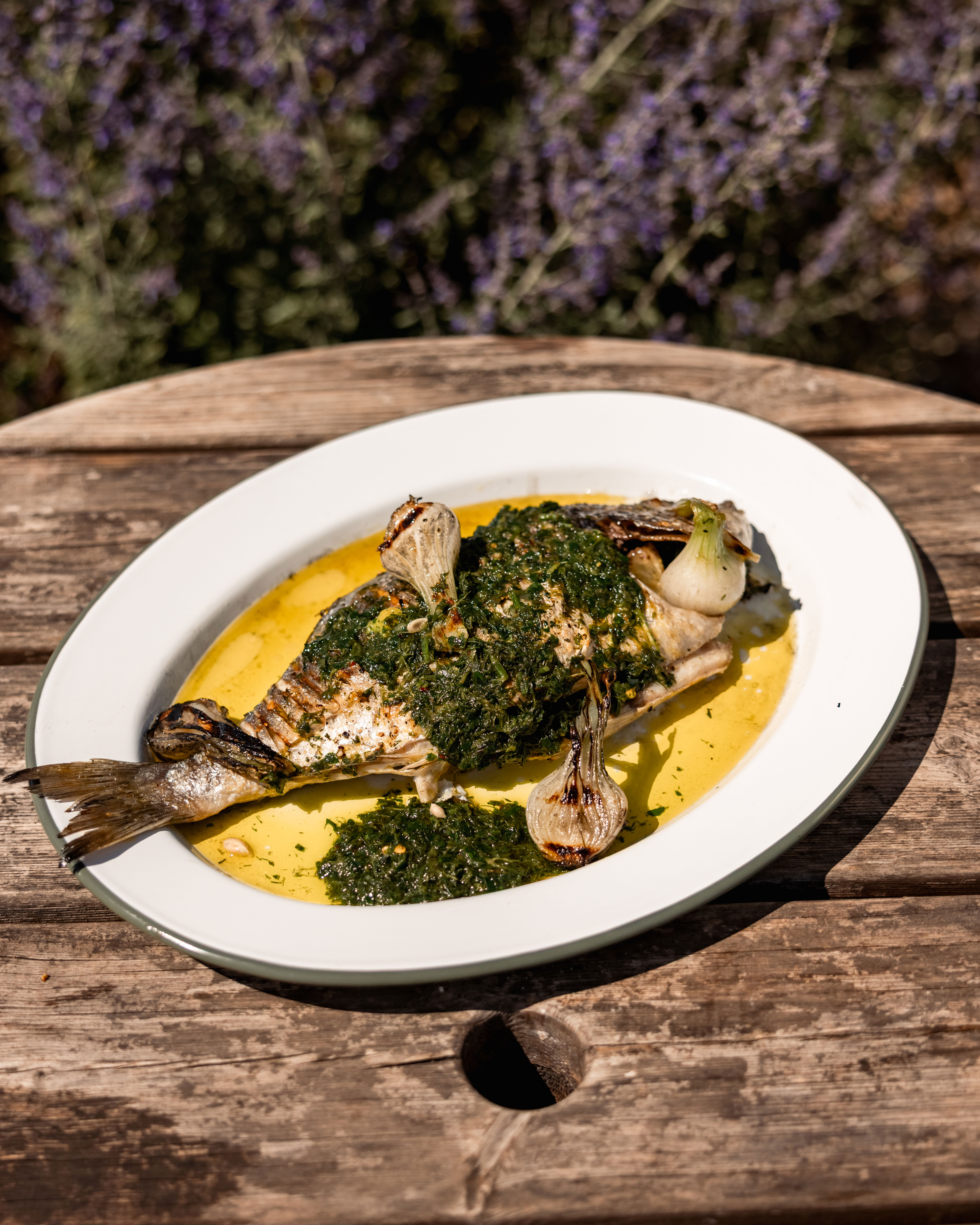 Phyl Corleone Mackerel