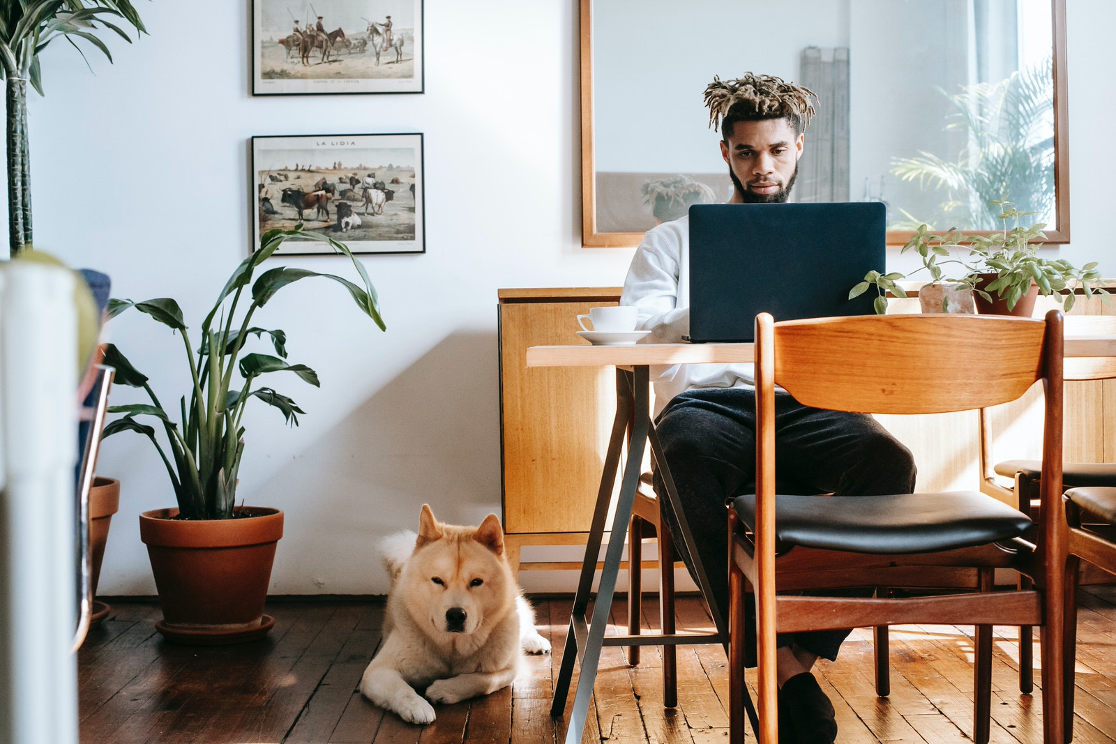 A photographer using a laptop in a living room, working with files on a cloud storage service.