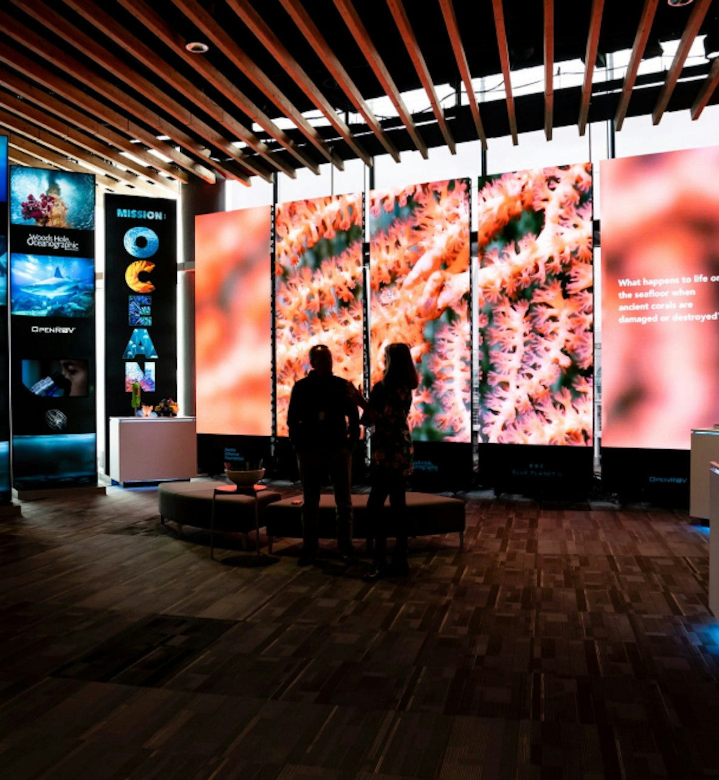 Blue Planet II Pop-up - TEDx
