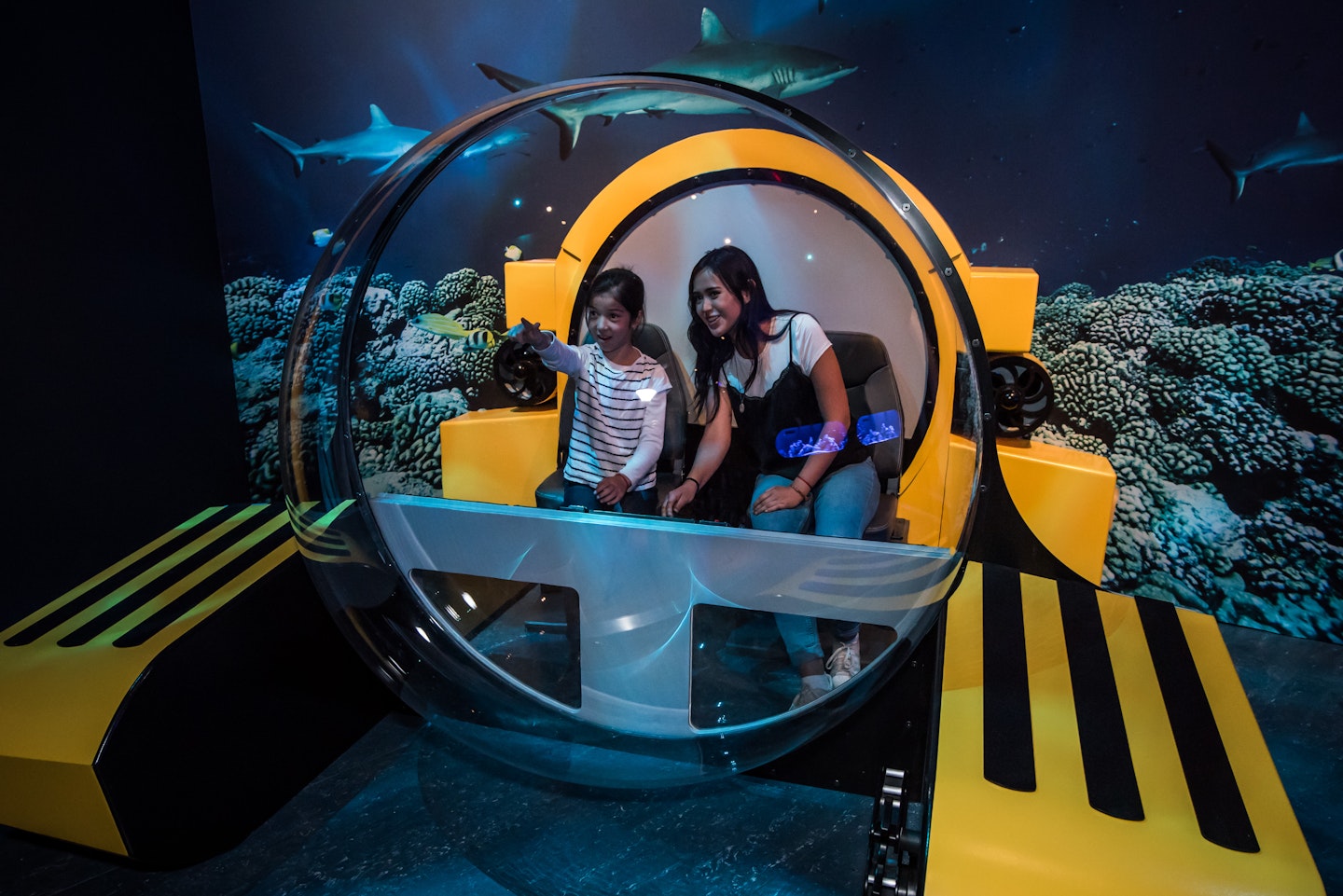 Unseen Oceans Exhibition - American Museum of Natural History