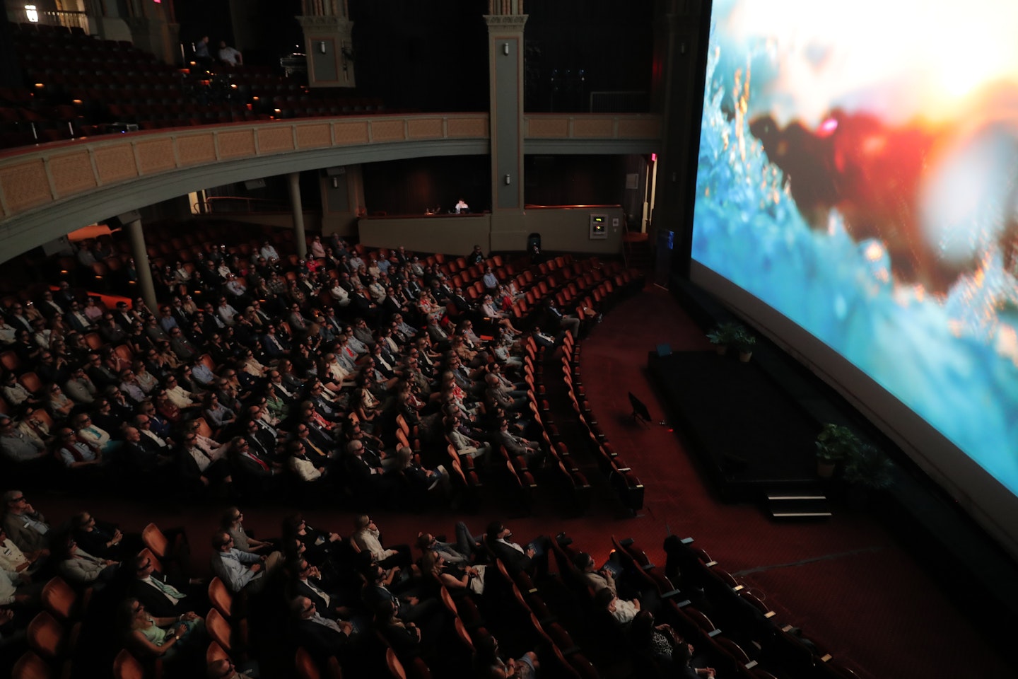 IMAX for BBC Earth