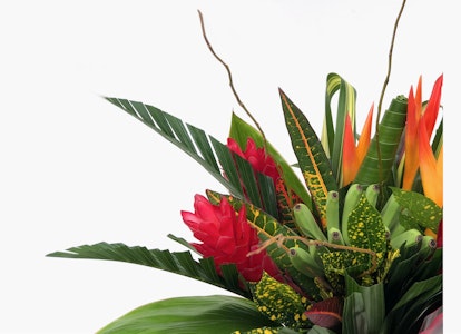 Vibrant tropical flower arrangement with red ginger, yellow heliconias, and green foliage against a white background, ideal for exotic decor or gifts.