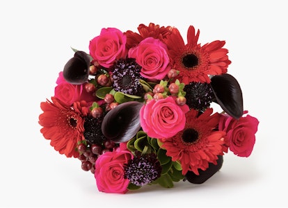 Vibrant bouquet of red and pink flowers including gerberas and roses with dark foliage accents on a clean white background.
