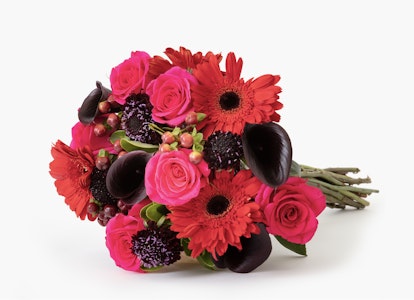Vibrant bouquet of flowers featuring red gerberas, pink roses, and dark calla lilies on a clean white background, expressing a mix of passion and elegance.