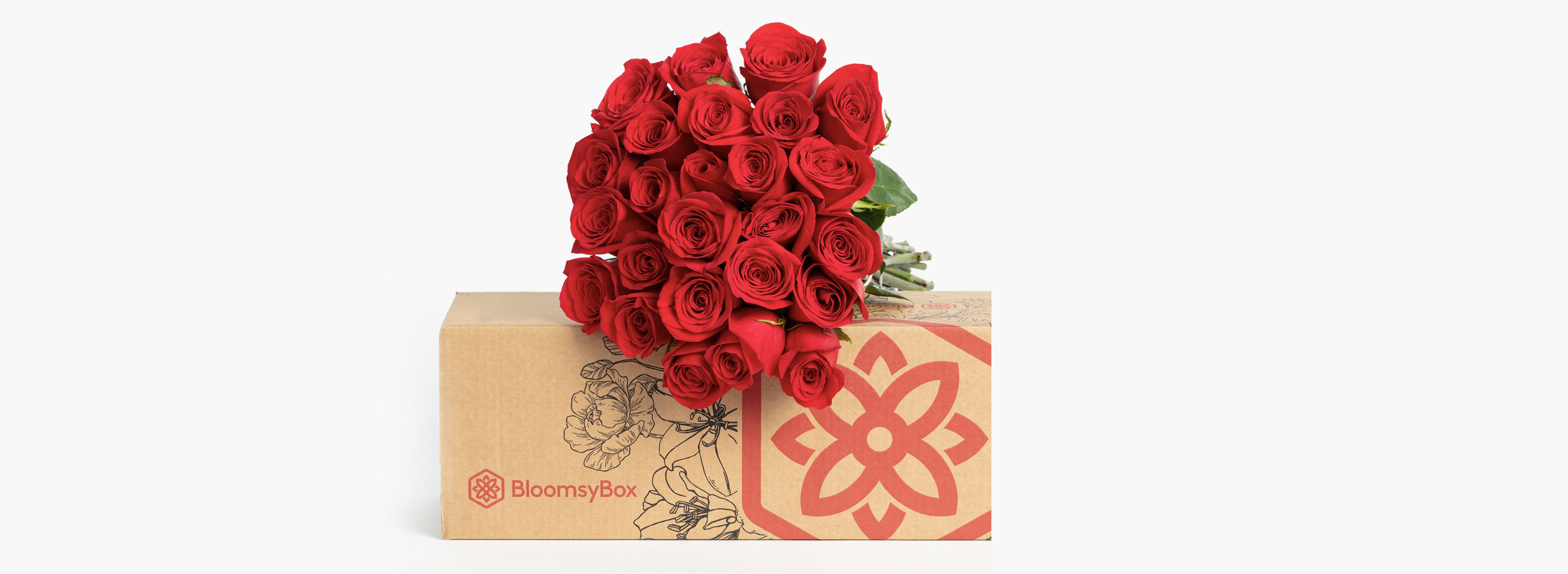 Red Rose Delivery | BloomsyBox