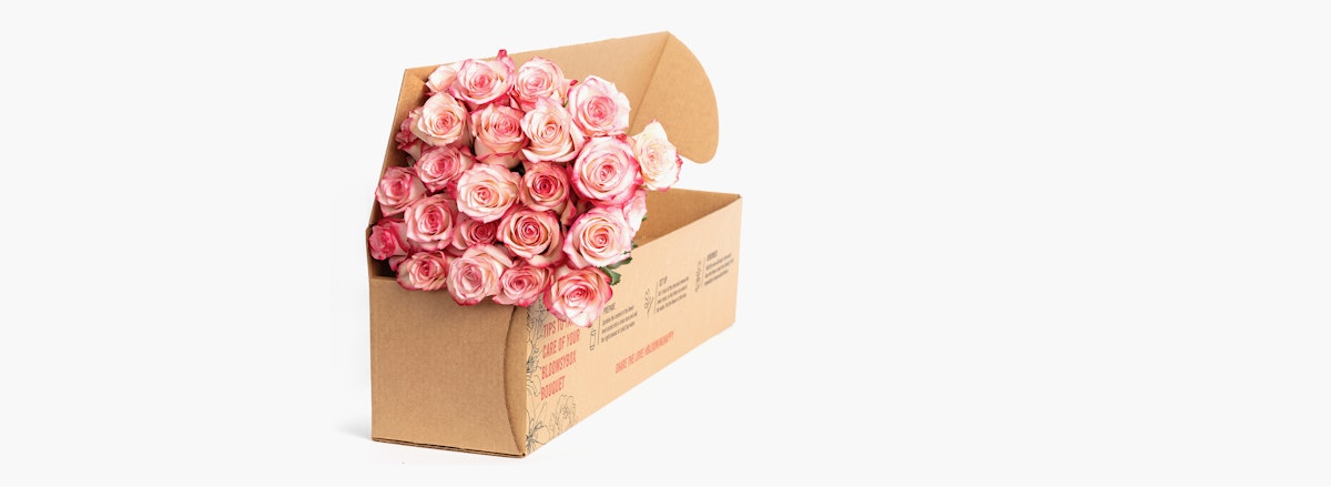 Elegant pink rose bouquet presented in a charming eco-friendly box, perfect for gifting.