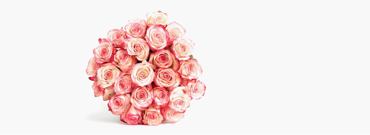 Elegant bouquet of pink and cream roses, perfect for any romantic occasion.