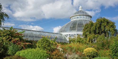 A picturesque greenhouse with a glass dome surrounded by vibrant greenery under a blue sky with fluffy clouds, showcasing a serene botanical garden setting.