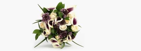Beautiful bouquet of flowers featuring white roses, purple calla lilies, and deep purple accent flowers with lush green leaves against a white background.
