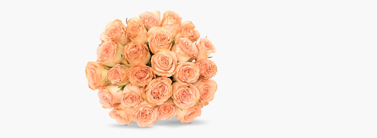 Elegant bouquet of soft peach roses, beautifully arranged for any occasion.