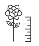 Monochrome illustration of an abstract flower with intricate petals beside a ruler, suggesting a concept related to measurement, growth, biology, or nature-themed graphic design.