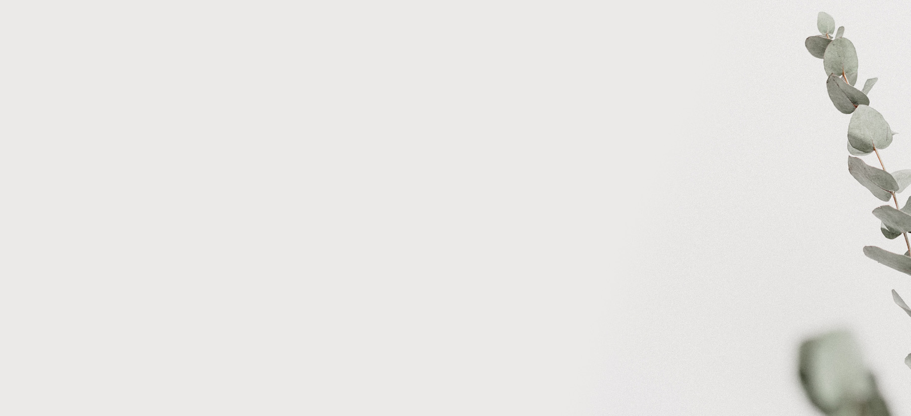 Elegant green eucalyptus leaves arranged against a soft white background, enhancing tranquility.