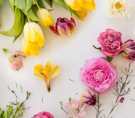 A colorful assortment of fresh spring flowers, including tulips and roses, scattered artfully across a bright, white surface, perfect for a vibrant seasonal background.