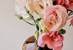 Close-up of a beautiful bouquet with pink and white roses and buds in a vase against a neutral background, capturing the delicate texture of the petals.