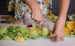Close-up photo of a person's hands arranging and trimming yellow tulips with scissors on a table, with a floral design book visible in the background.