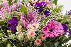 Vibrant bouquet featuring pink gerberas, purple flowers, greenery, and delicate white wisps, suitable for celebrations or as a thoughtful gift.