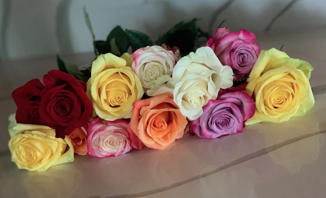 Colorful arrangement of mixed roses including red, pink, yellow, and white blooms on a surface.