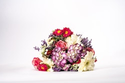 Vibrant bouquet of mixed flowers including pink roses, purple accents, and red blooms set against a clean, white background, perfect for special occasions.