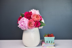 A vibrant bouquet of pink peonies and red roses in a white textured vase on a table with a small pile of books and a punnet of strawberries beside it, against a gray backdrop.