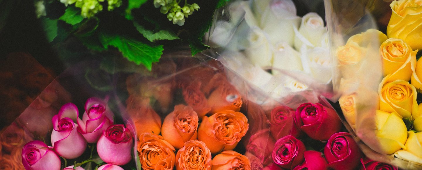 Top 10 Reasons to Send Roses Top 10 Reasons to Send Roses