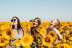 Three joyful women laughing and enjoying a sunny day in a vibrant sunflower field with a clear blue sky in the background.