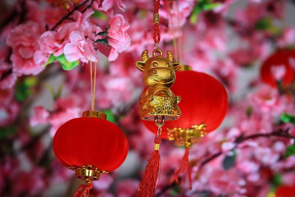 Golden figurine of a smiling cow hanging among red lanterns and pink blossoms, symbolizing luck.