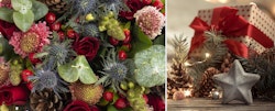 Vibrant floral arrangement featuring red flowers, green leaves, and unique textures on the left, alongside a festive holiday composition with pine cones, a red gift, and a silver star on the right.