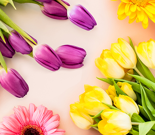 Flower Subscription Flower Of The Month Club